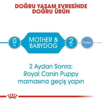 Royal Canin Starter Yavru Köpek Konservesi 195Gr