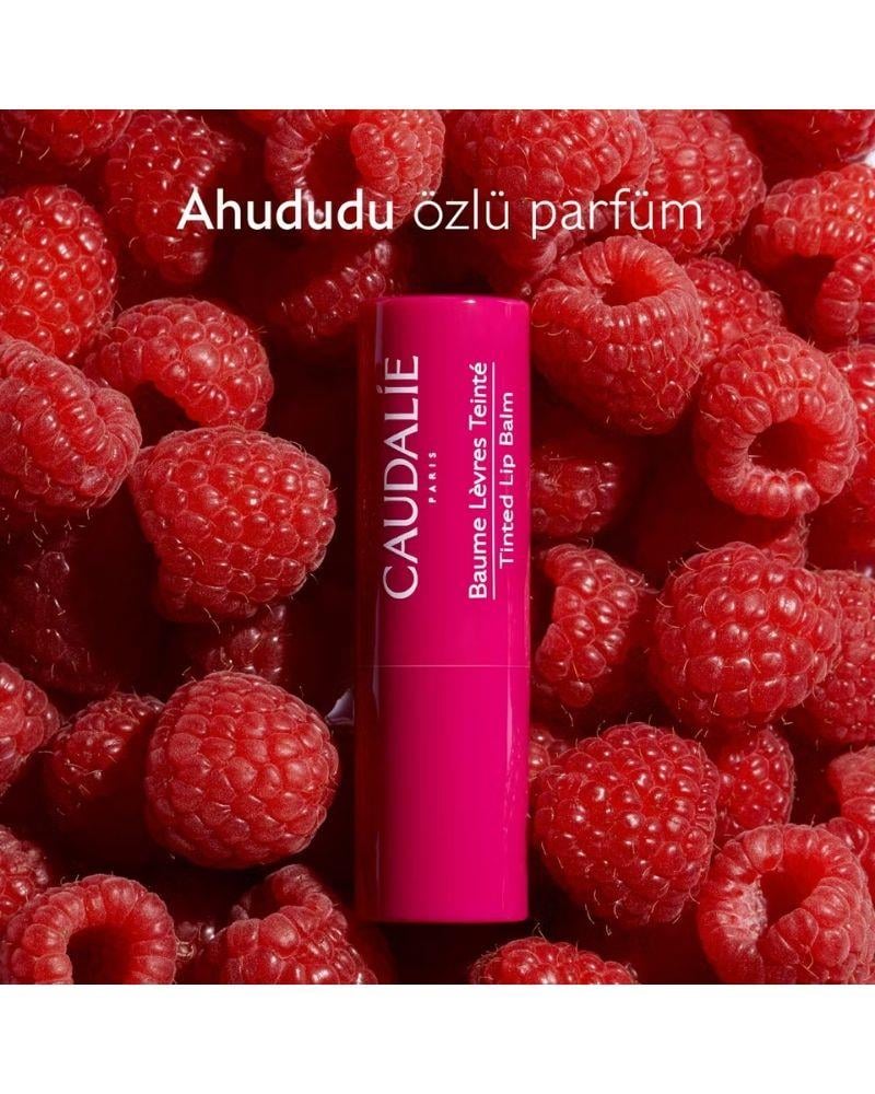 Caudalie Vinotherapist Renkli Dudak Nemlendiricis