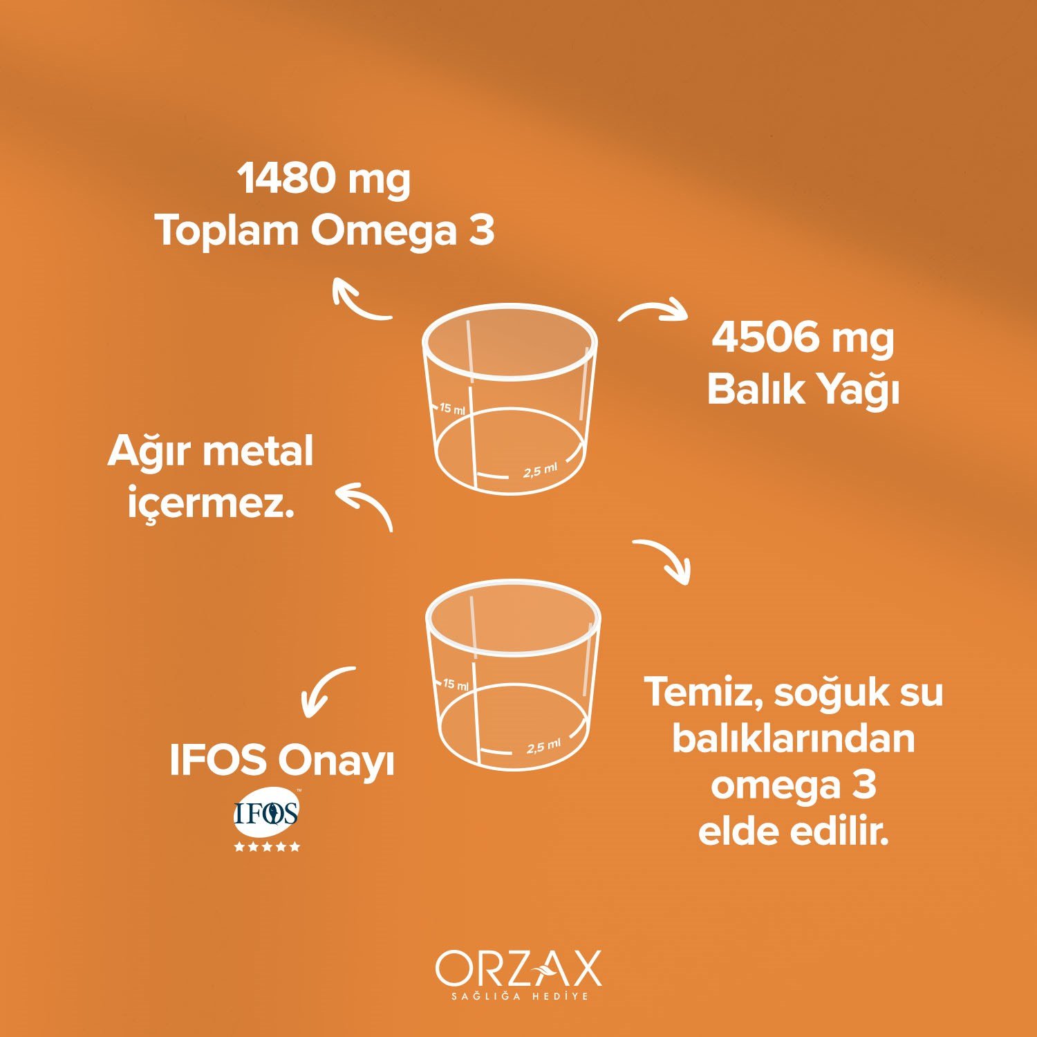 Ocean Portakallı Balık Yağı Surup Alana VM Şurup Hediye