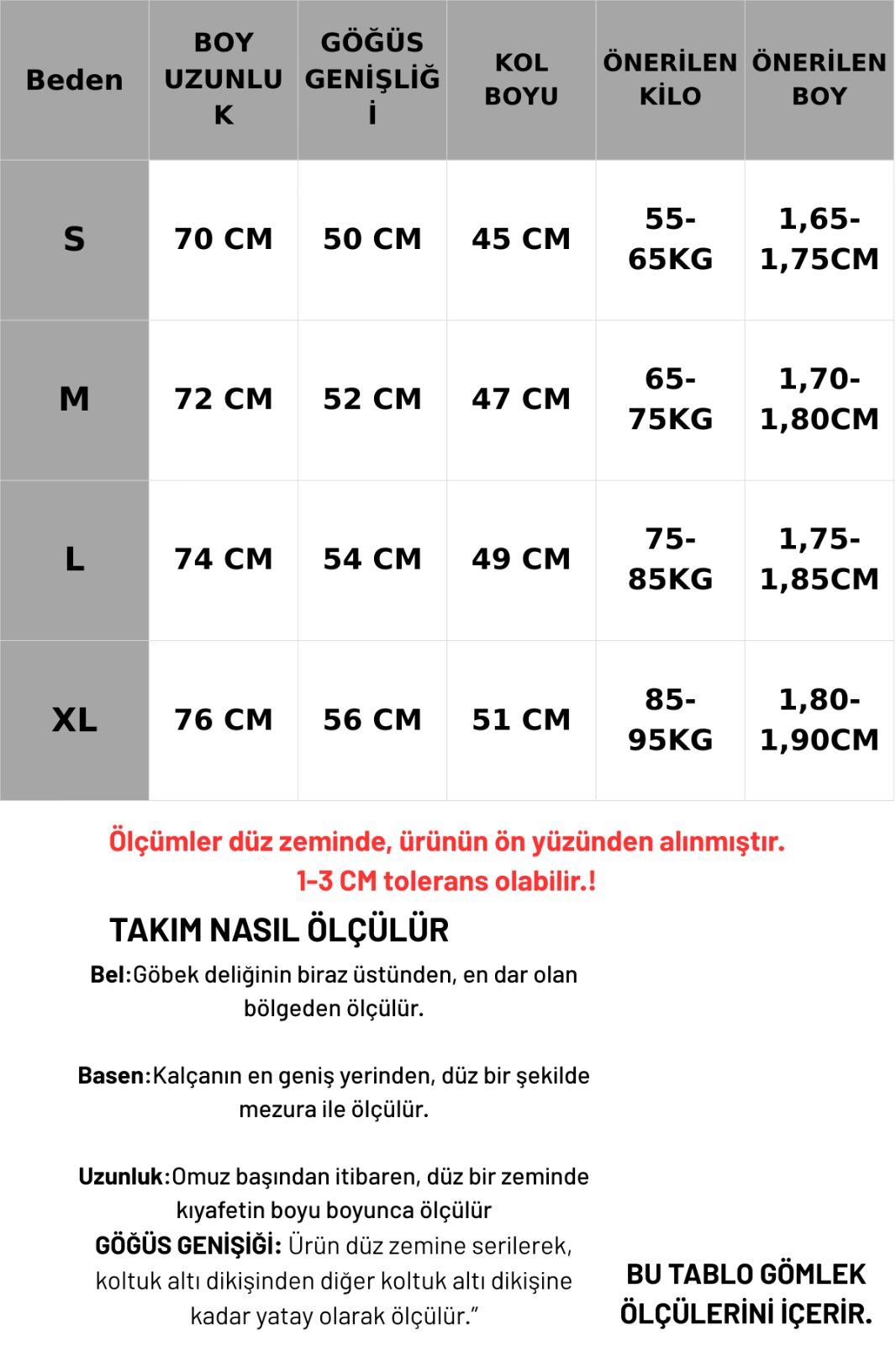 Takım