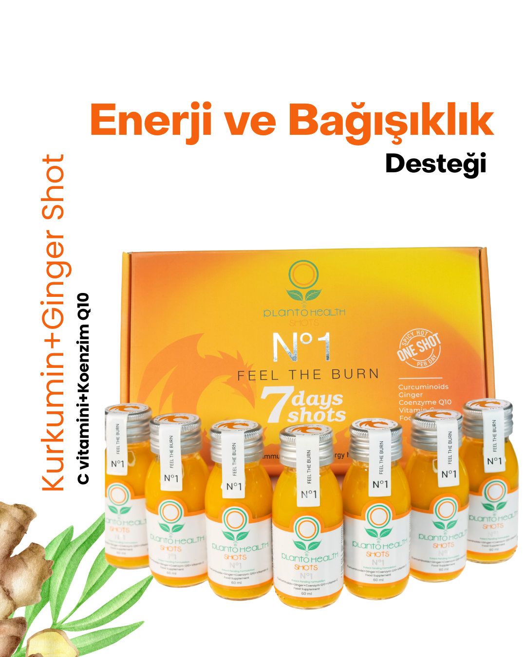 PlantoHealth No.1 Kurkumin+Ginger Shot-AVANTAJLI PAKET,PlantoHealth