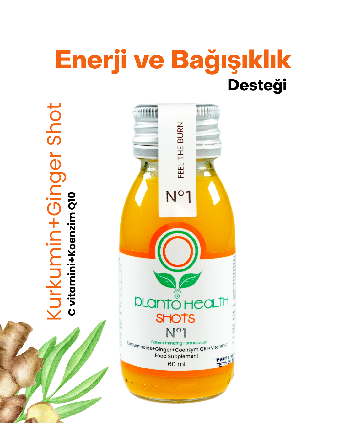 PlantoHealth No.1 Kurkumin+Ginger Shot,PlantoHealth