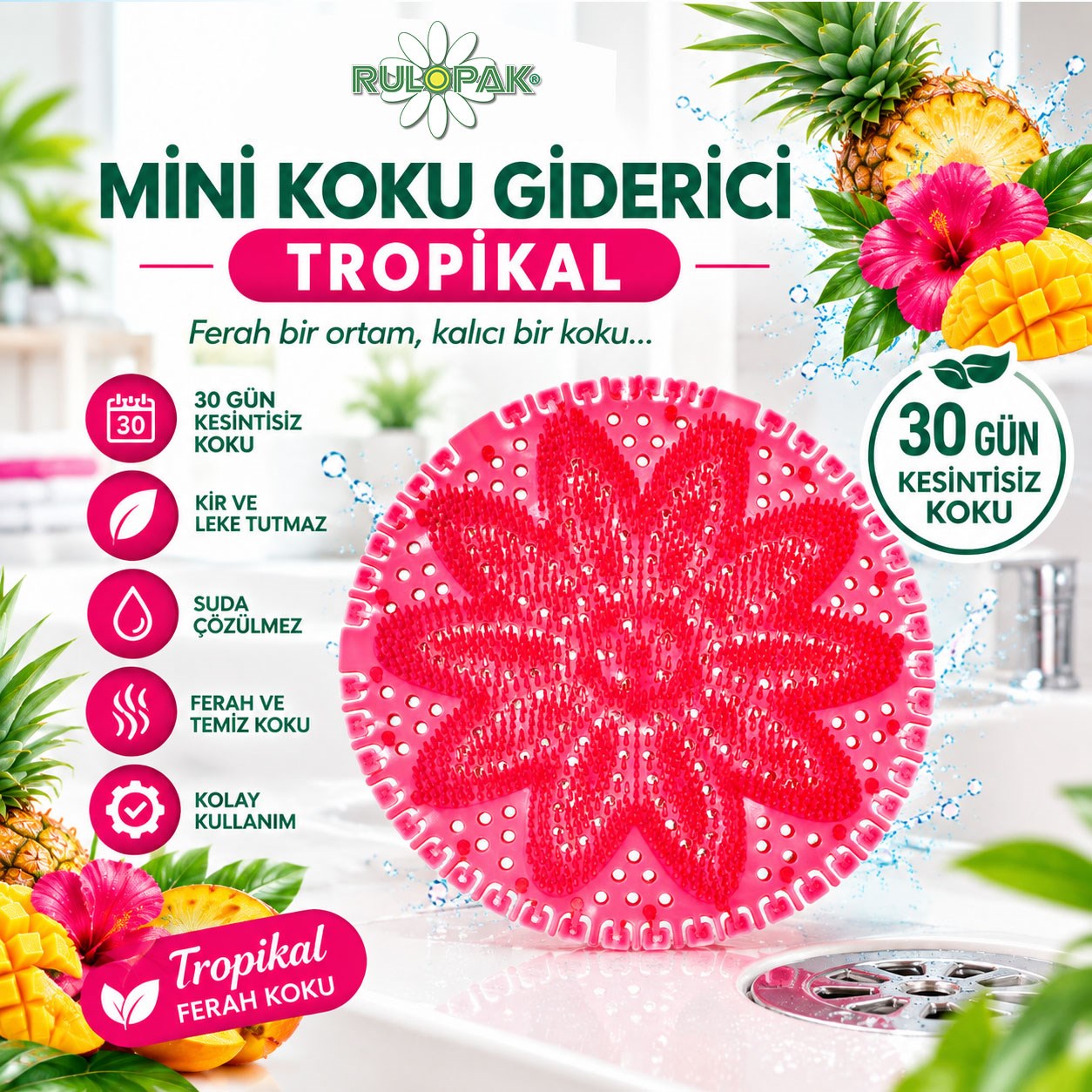 Rulopak Mini Koku Giderici Tropikal