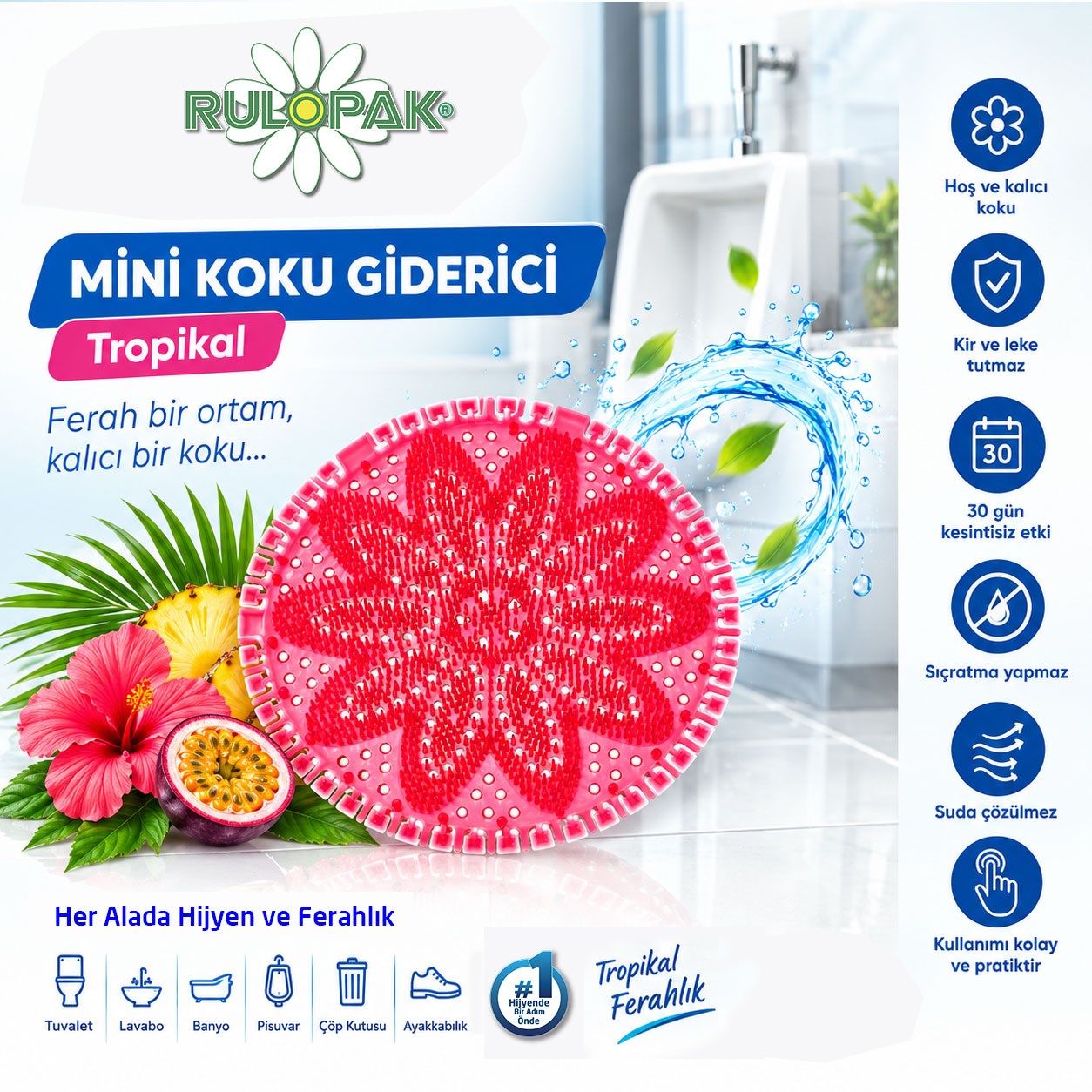 Rulopak Mini Koku Giderici Tropikal