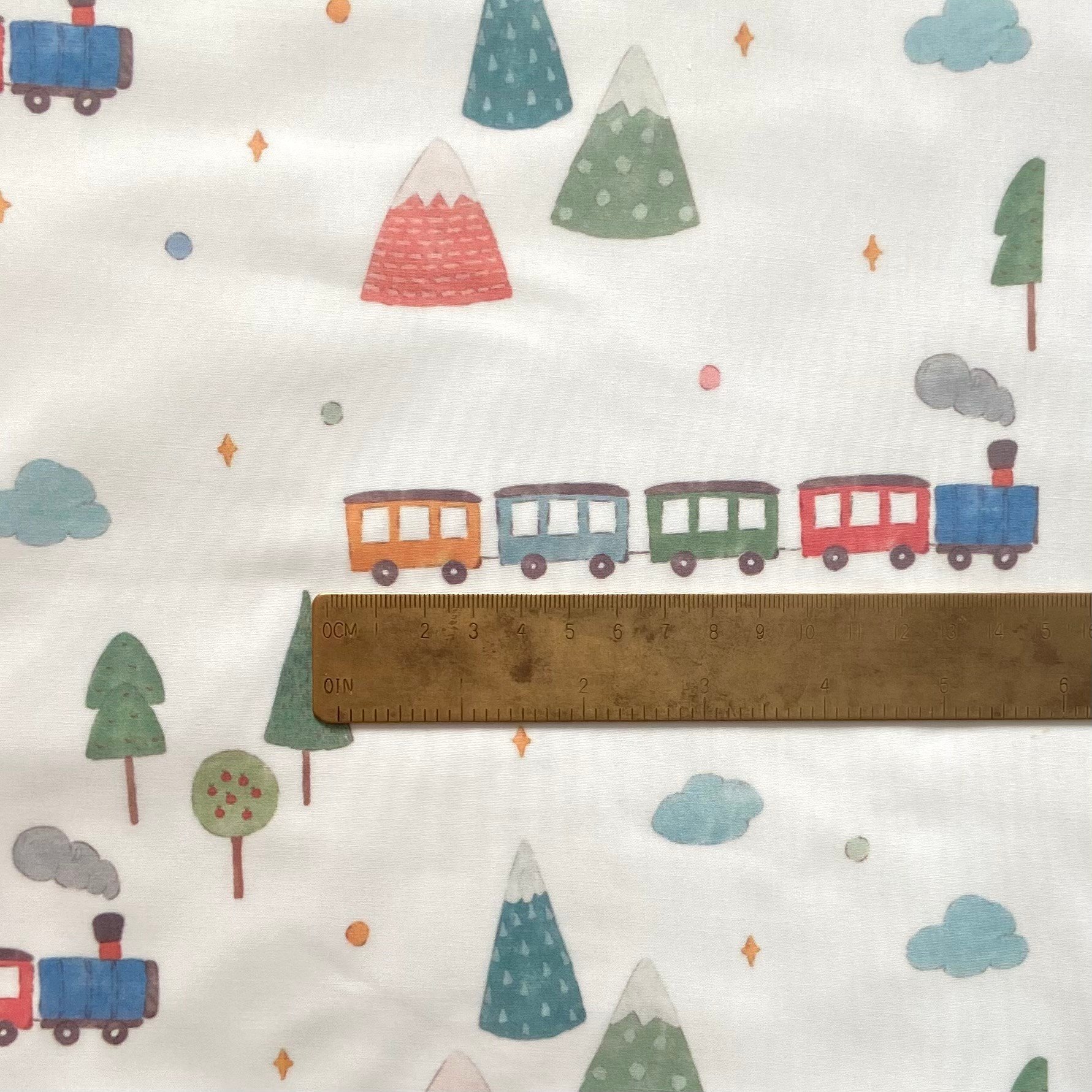 Choo-Choo Poplin Kumaş