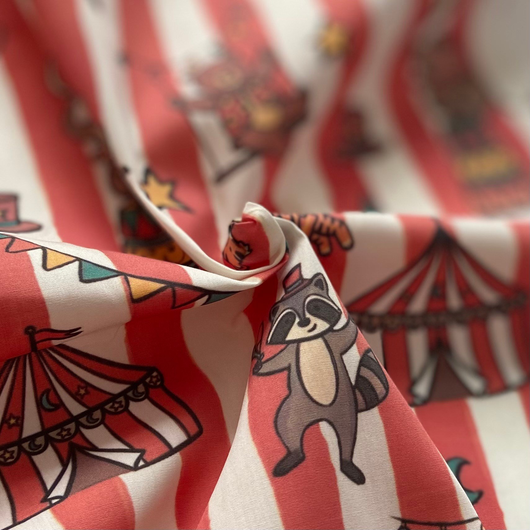 Circus Poplin Kumaş