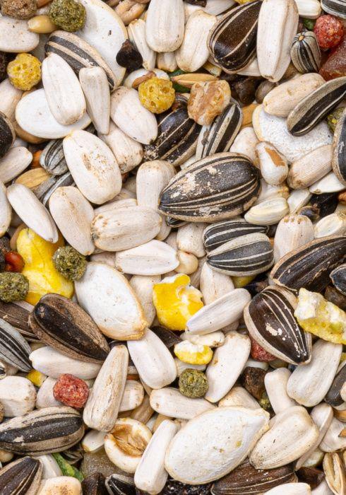  DELİ NATURE PREMİUM PARROTS PAPAĞAN YEMİ 800GR 