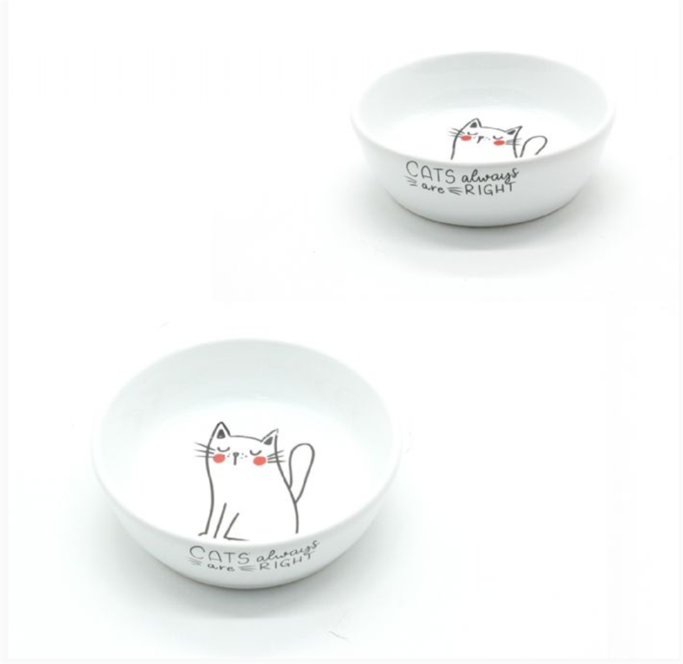 10166-ALLY PAWS DESENLİ SERAMİK MAMA KABI 250ML