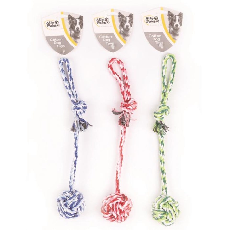 10638-ALLY PAWS KÖPEKLER İÇİN DİŞ İPİ 33CM