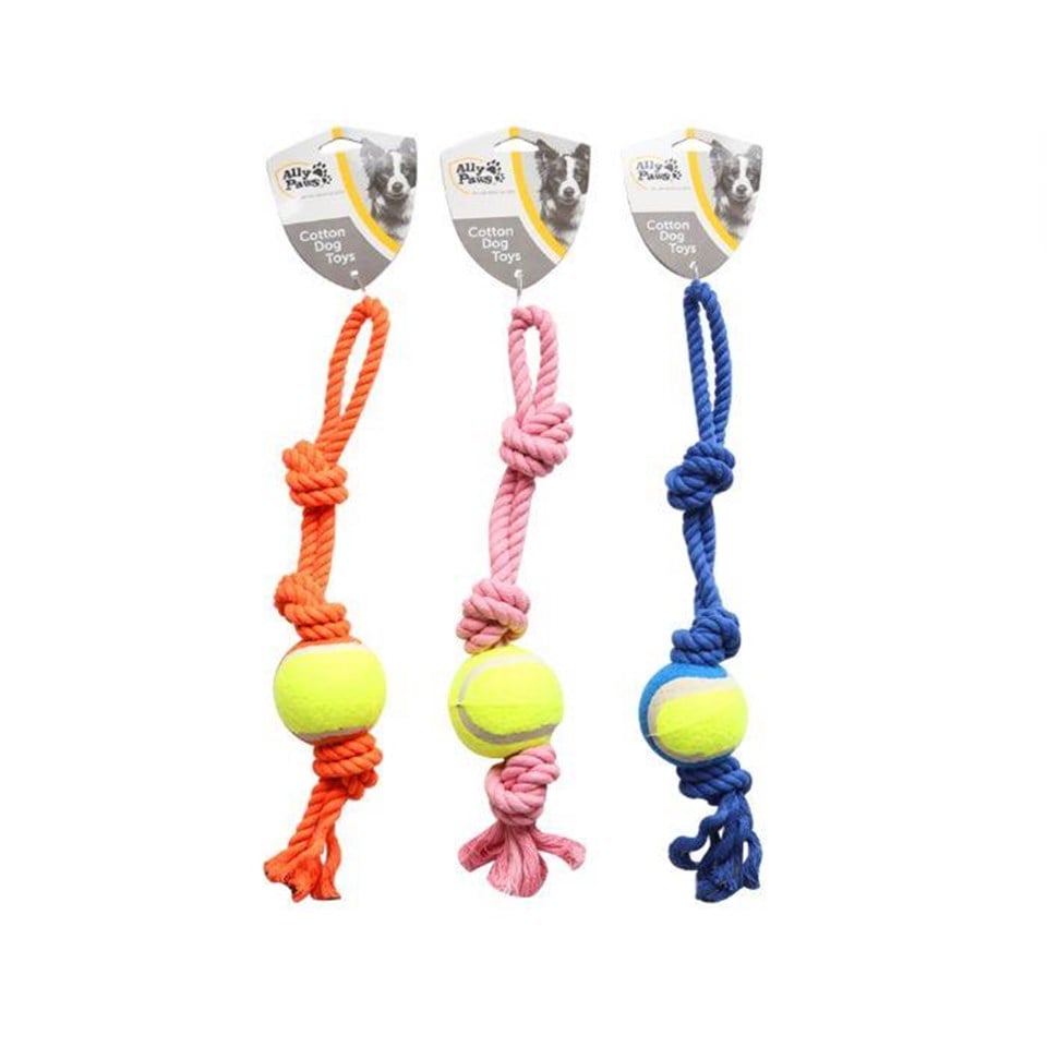 10640-ALLY PAWS KÖPEKLER İÇİN DİŞ İPİ 38CM