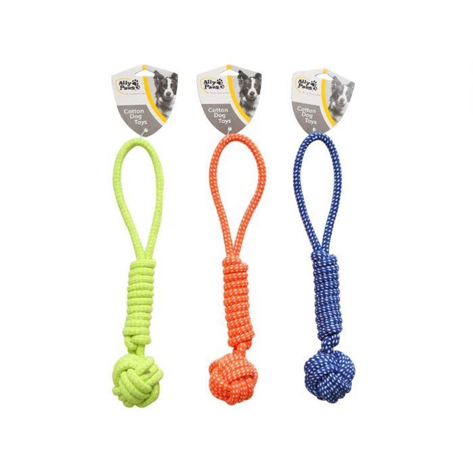 10658-ALLY PAWS KÖPEKLER İÇİN DİŞ İPİ 35CM