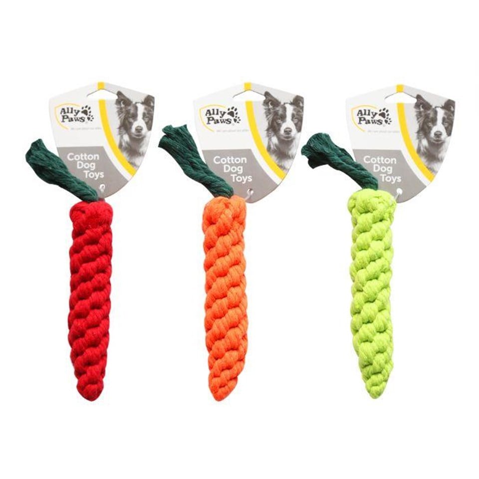 10669-ALLY PAWS KÖPEKLER İÇİN HAVUÇ DİŞ İPİ 24CM