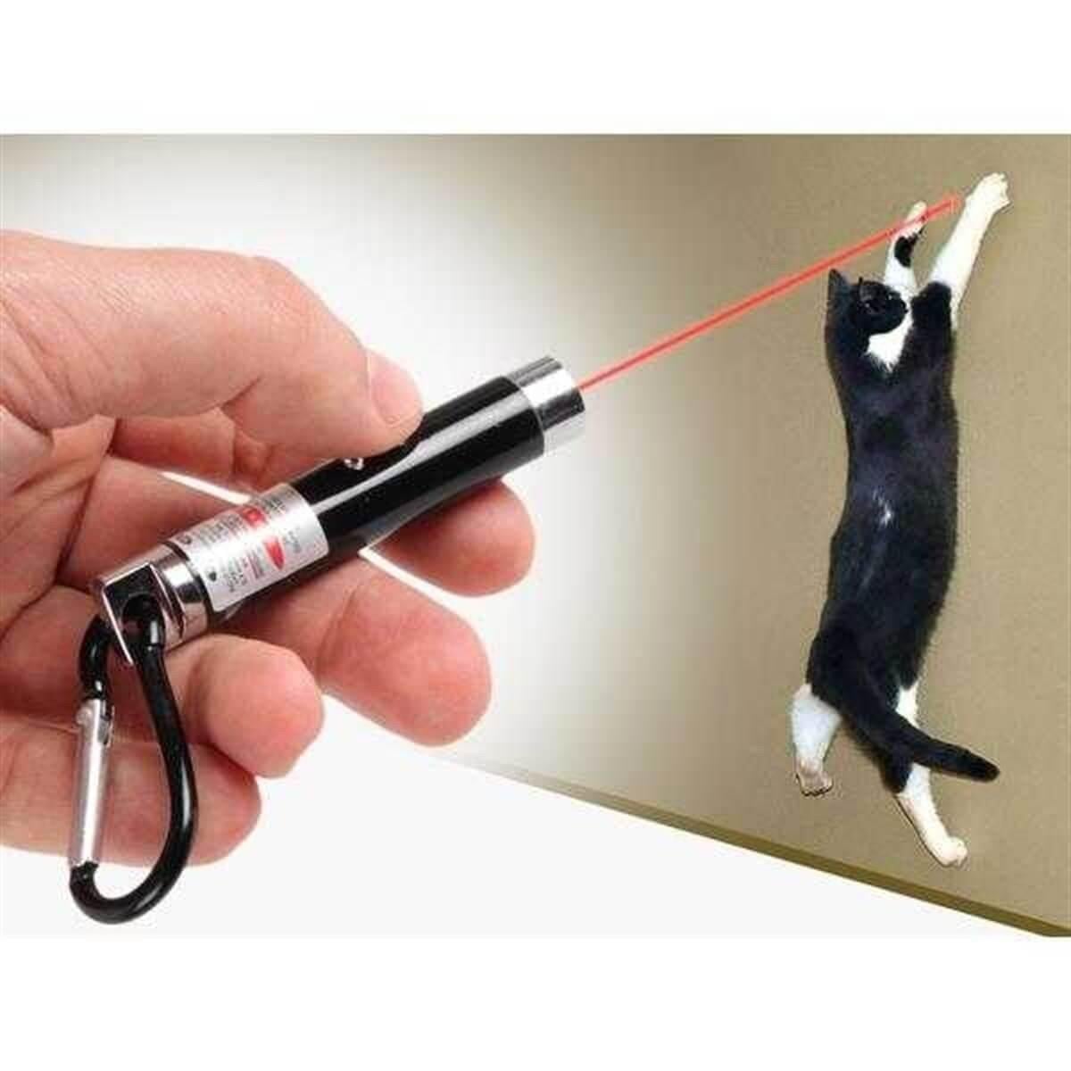 Kedi Lazer Oyuncağı 3IN 1