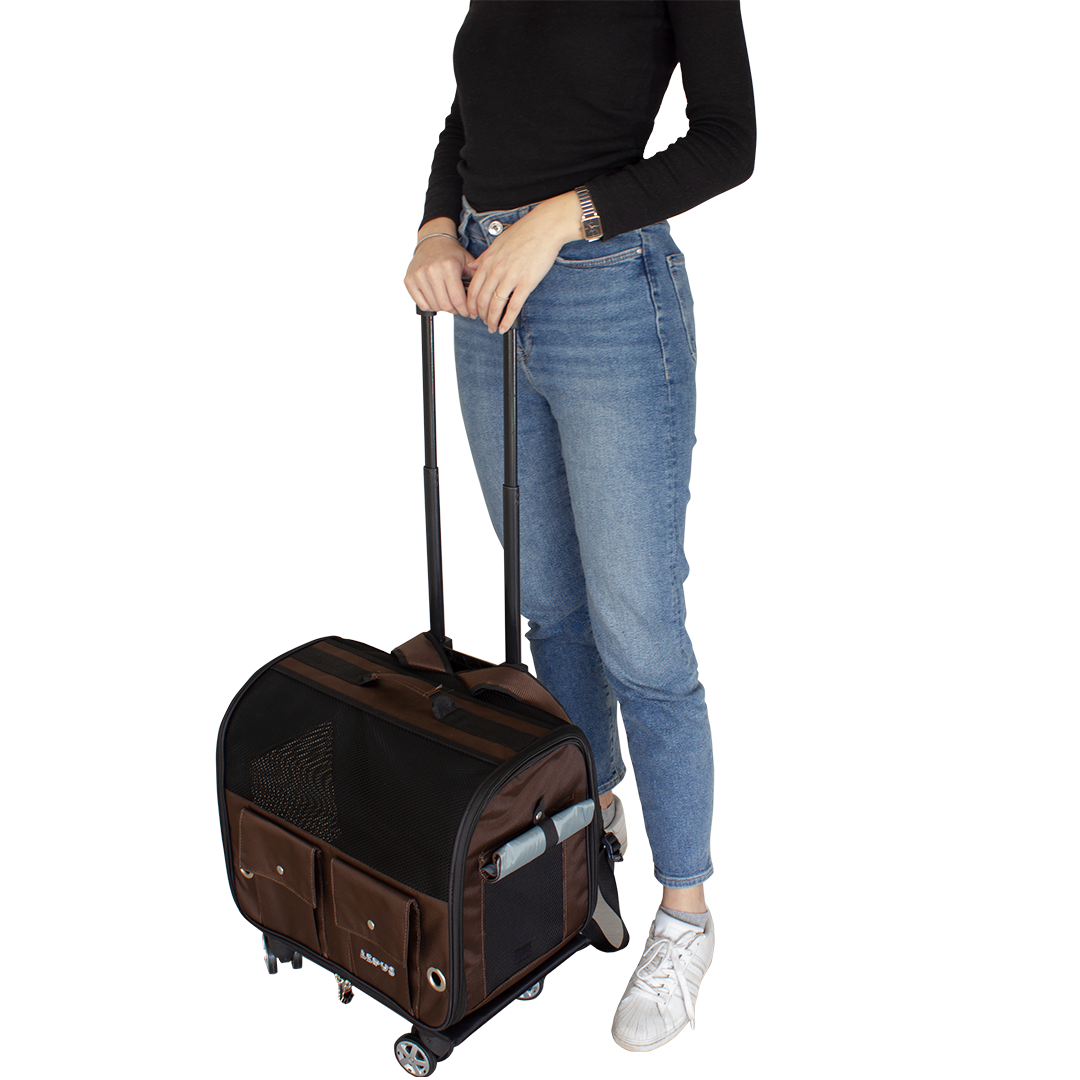 Lepus Travel Bag Kedi ve Köpek Taşıma Çantası - Gri