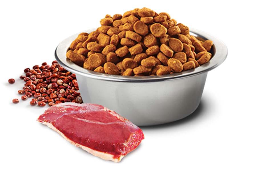 ND Quinoa Neutered Ördek Kinoa Aromalı Kısırlaştırılmış Kedi Maması 1,5 Kg 