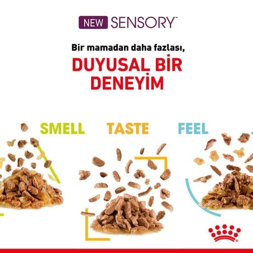 Royal Canin Sensory Smell Kedi Yaş Mama 85 Gr