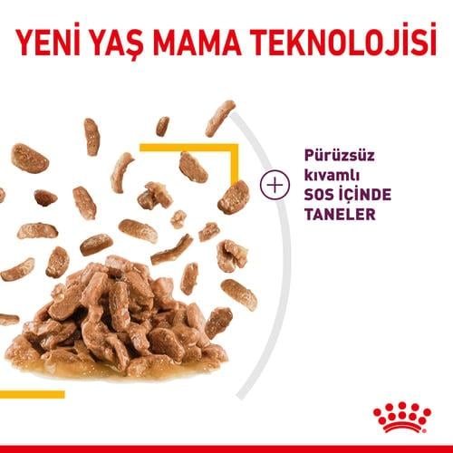 Royal Canin Sensory Smell Kedi Yaş Mama 85 Gr