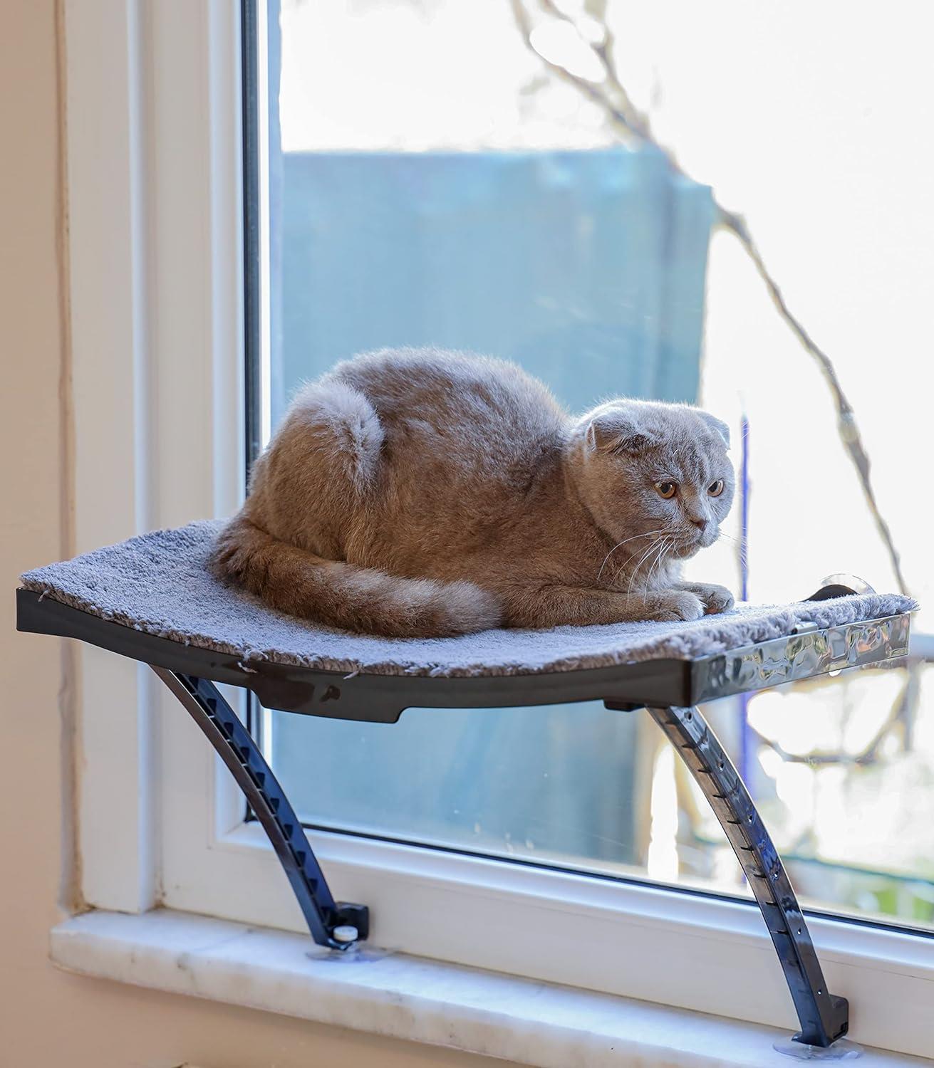 VANTUZLU KEDİ CAM YATAĞI VE DUVAR YATAĞI  