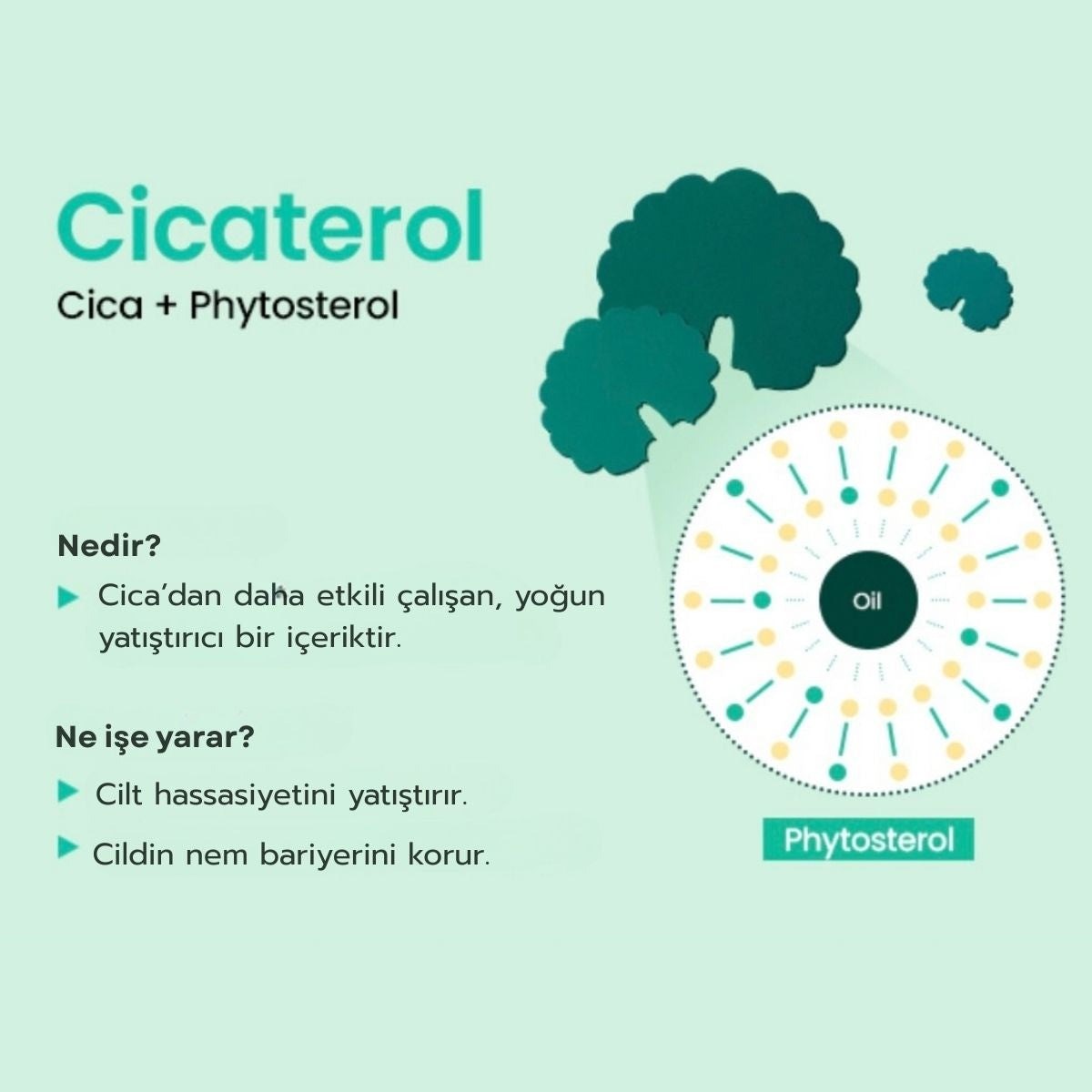 Beplain Cicaterol Moisturizer Cream - Bariyer Krem 60 ml