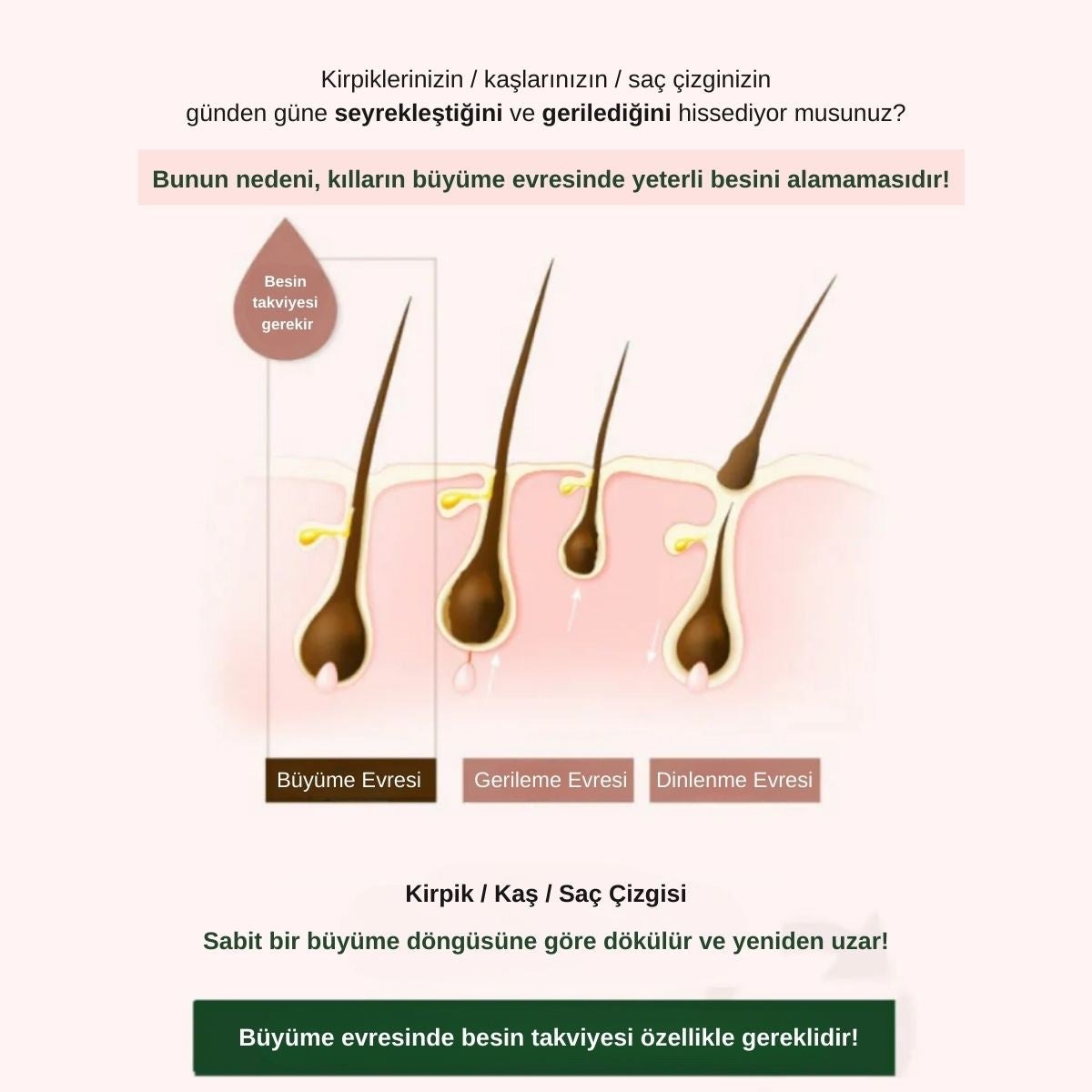 ViveLab Vital Rich Essence - Kaş Kirpik Saç Esansı 10 g