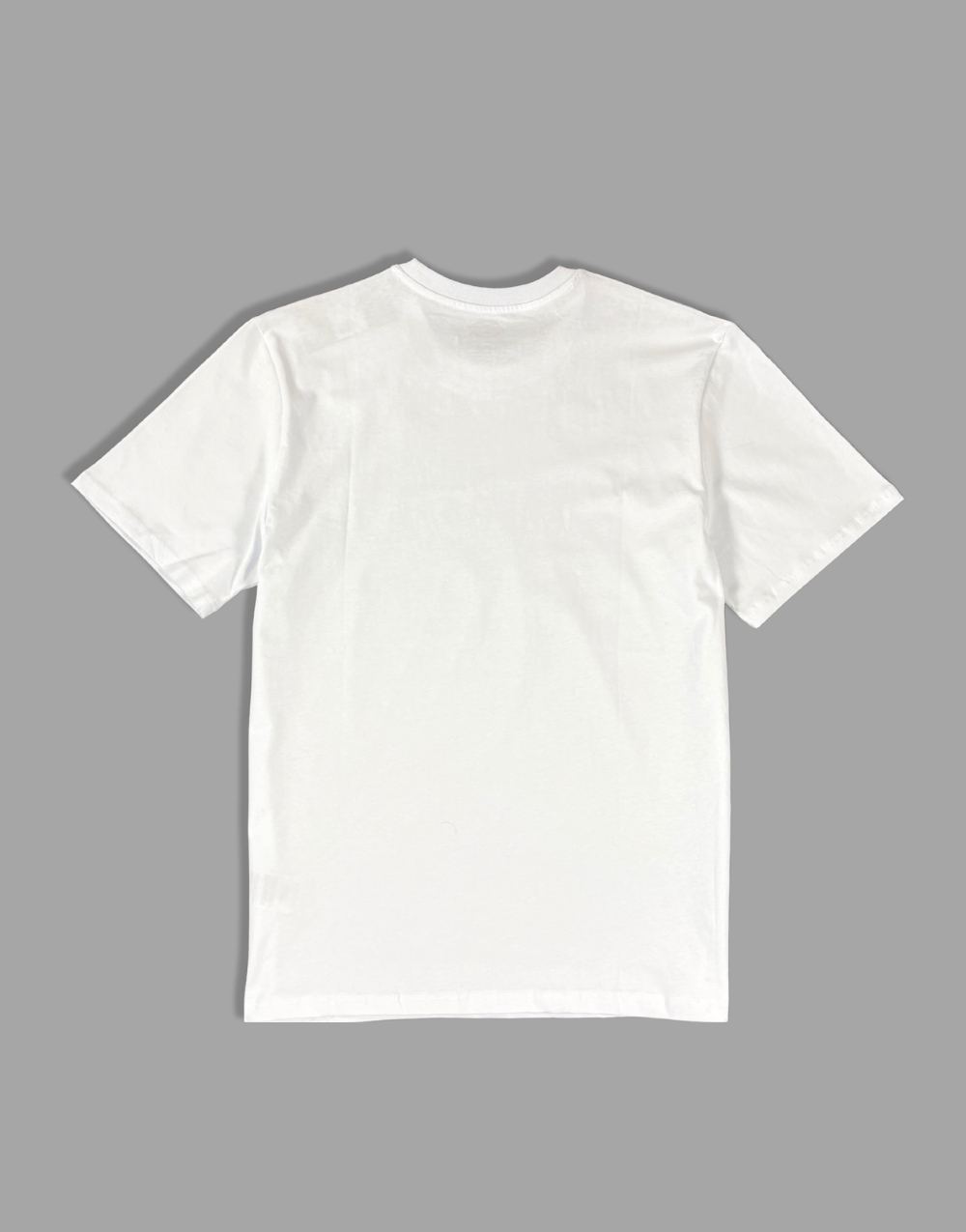 Dickies Basic Logo Erkek TişörtDickies Basic Logo Erkek Tişört