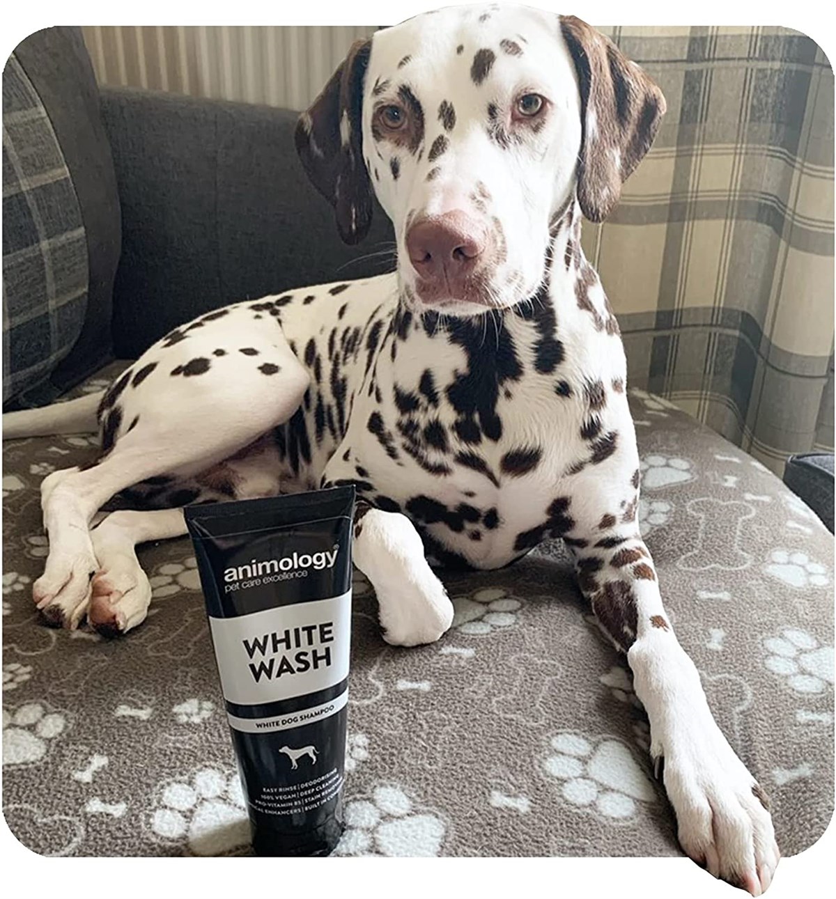 Animology White Wash Shampoo Beyaz Tüylü Köpek Şampuanı 250  ML - AWW250