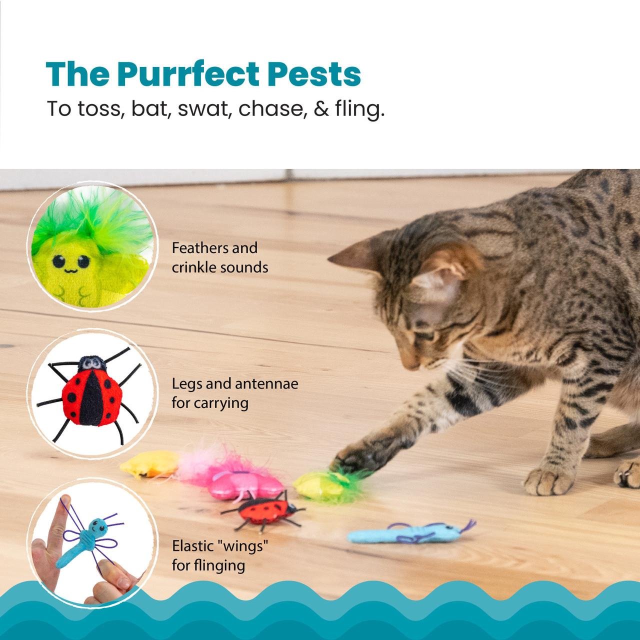 Cute As A Bug 6Pk Mlt - 71481M