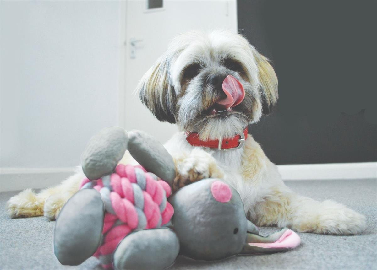 Happy Pet Little Rascals Knottie Bunny Pink Köpek Oyuncağı - 37738