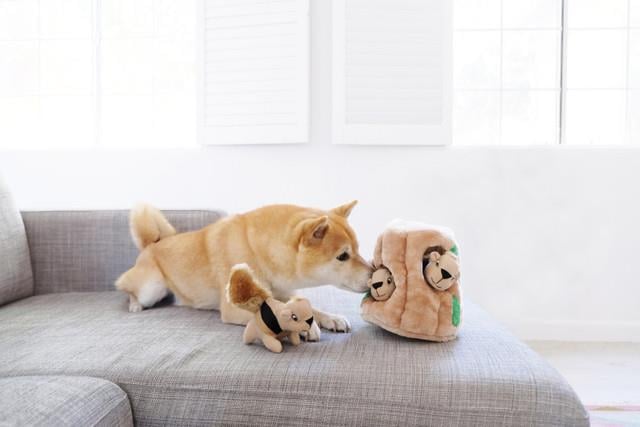 Hide A Squirrel Brownn XL Peluş Köpek Oyuncağı - 31004M