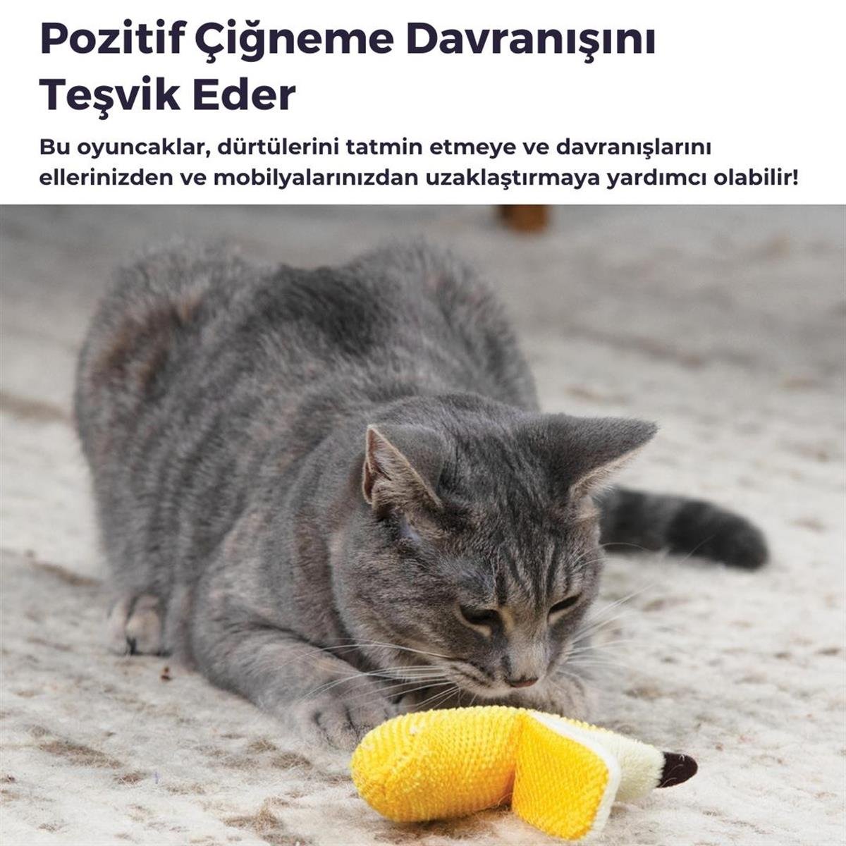 Petstages Dental Banana Cat Chew Toy Kedi Oyuncağı, Sarı - 67835M