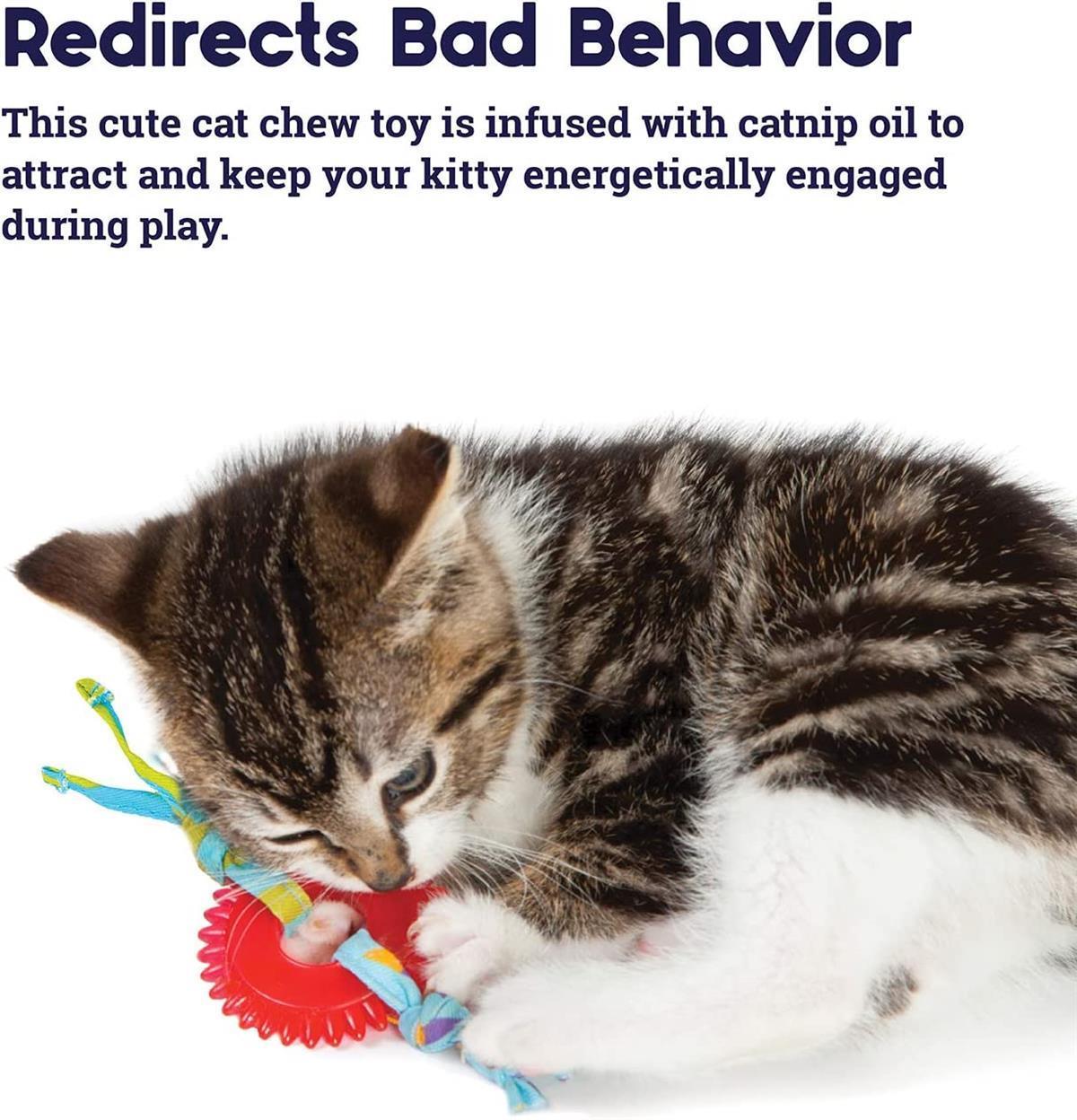 Petstages Dental Kitty Chew Wheel - 715