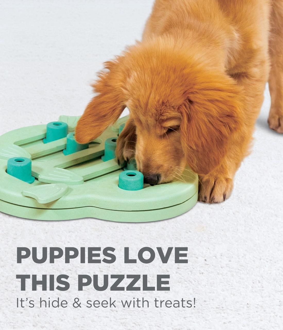Puppy Hide N' Slide Interactive Treat Puzzle Köpek Oyuncağı, Green - 69538