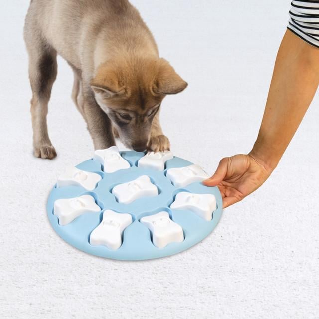 Puppy Smart Interactive Treat Puzzle Köpek Oyuncağı, Blue - 69535