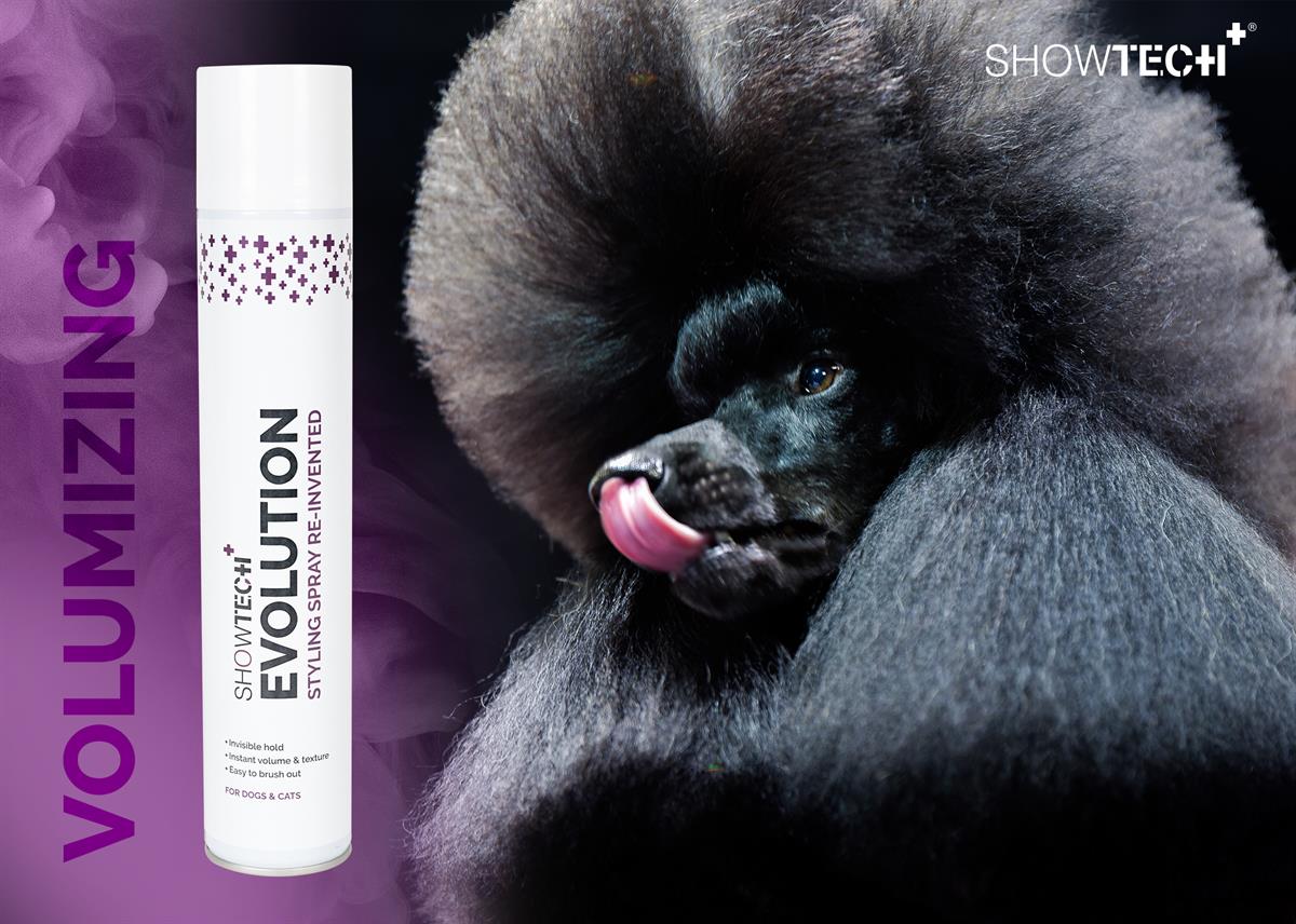show-tech-evolution-hair-spray-500-ml--b98-8f.jpg
