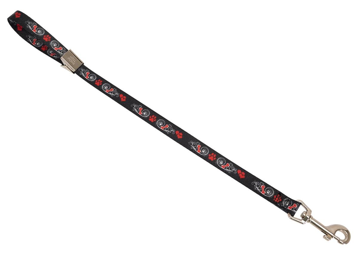 show-tech-grooming-noose-with-pawprint-291bb0.jpg