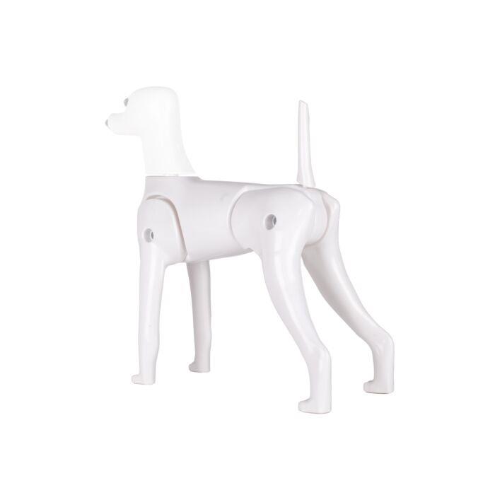 Starzclub Model Dog Body Educational Dog - 89STA030