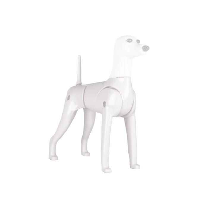 Starzclub Model Dog Body Educational Dog - 89STA030