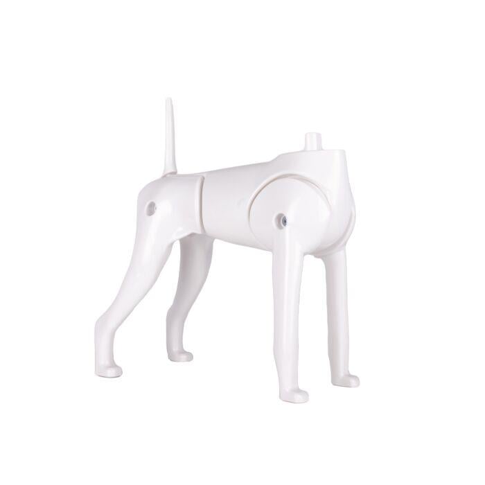 Starzclub Model Dog Body Educational Dog - 89STA030