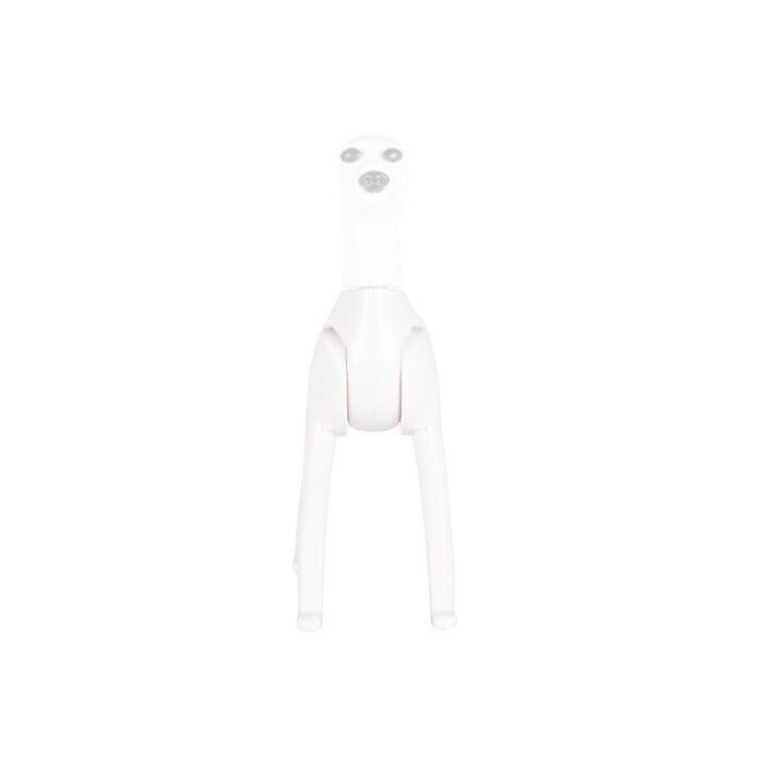 Starzclub Model Dog Body Educational Dog - 89STA030
