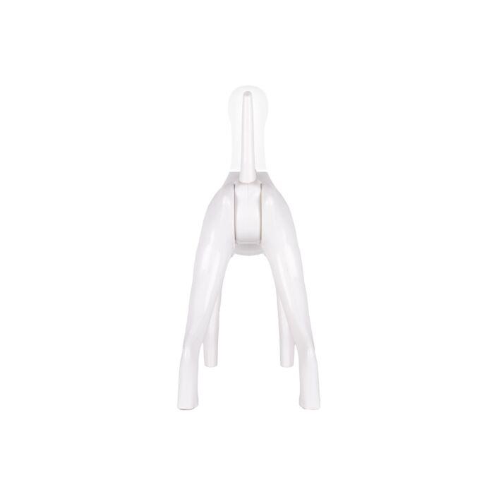 Starzclub Model Dog Body Educational Dog - 89STA030