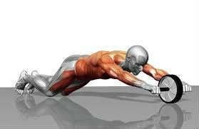 Delta Ab Wheel Karın Egzersiz ve Fitness Tekerleği