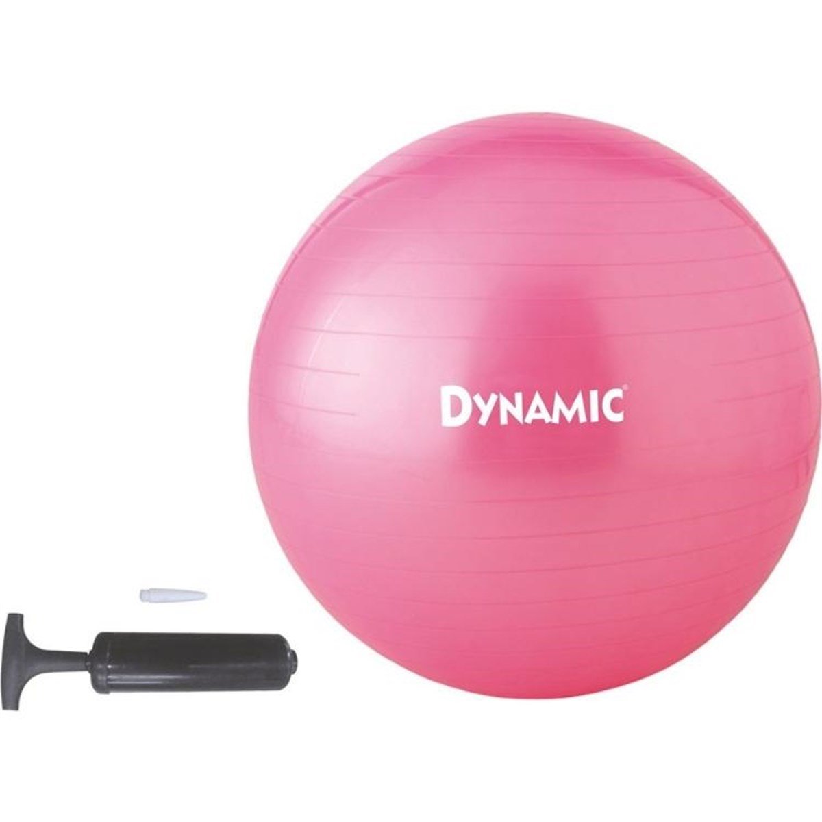 Dynamıc Gymball Pompalı Pembe 55 cm