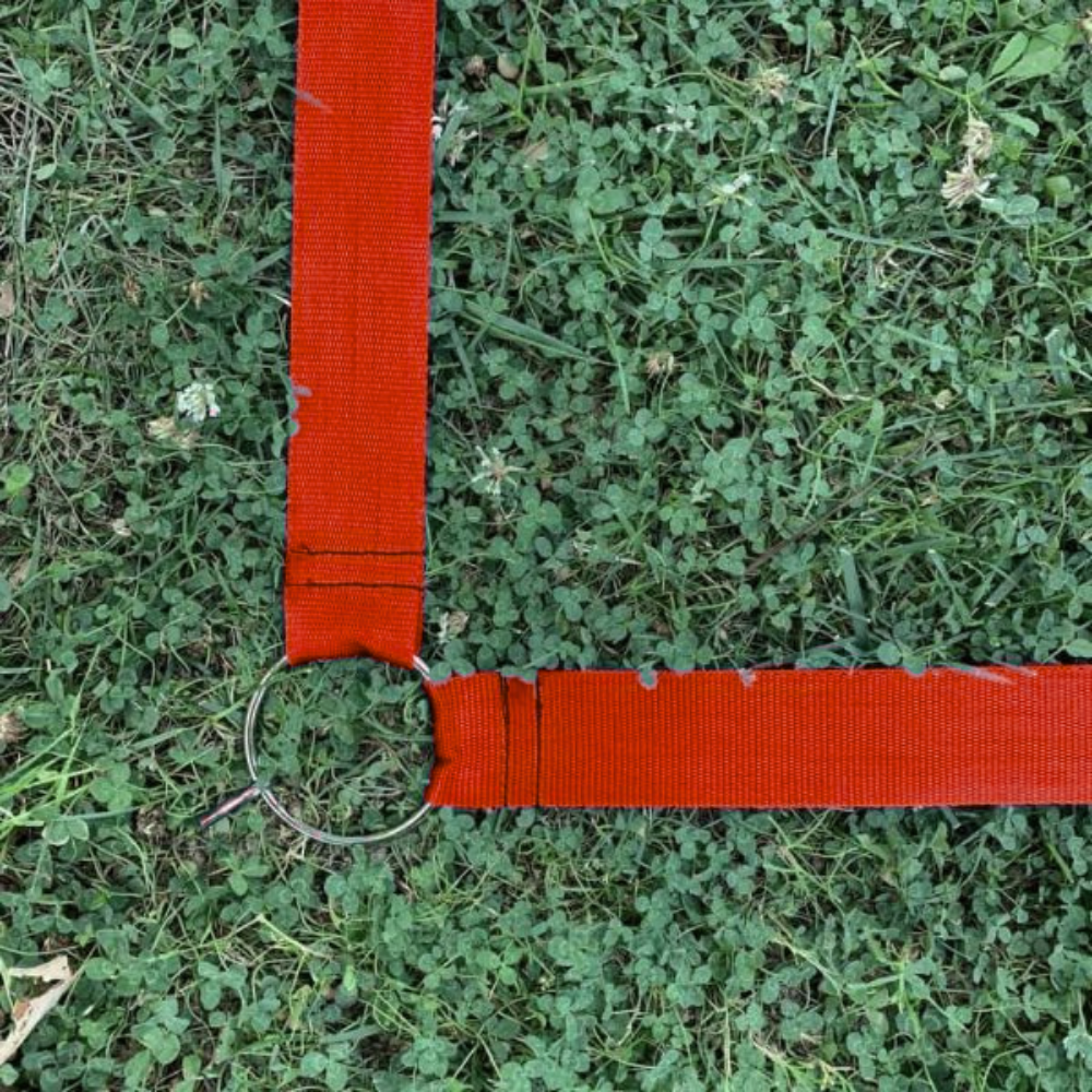 Saha Çizgisi Seti Tüm Renkler