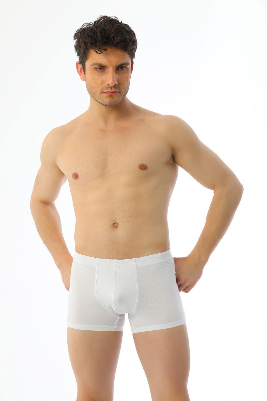 Erkek Elastanlı Beyaz Boxer 810