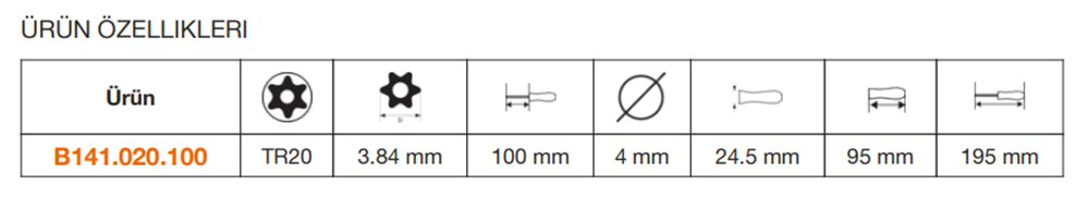 Bahco Torx®  Sert Dayanıklı Tornavida B141.020.100