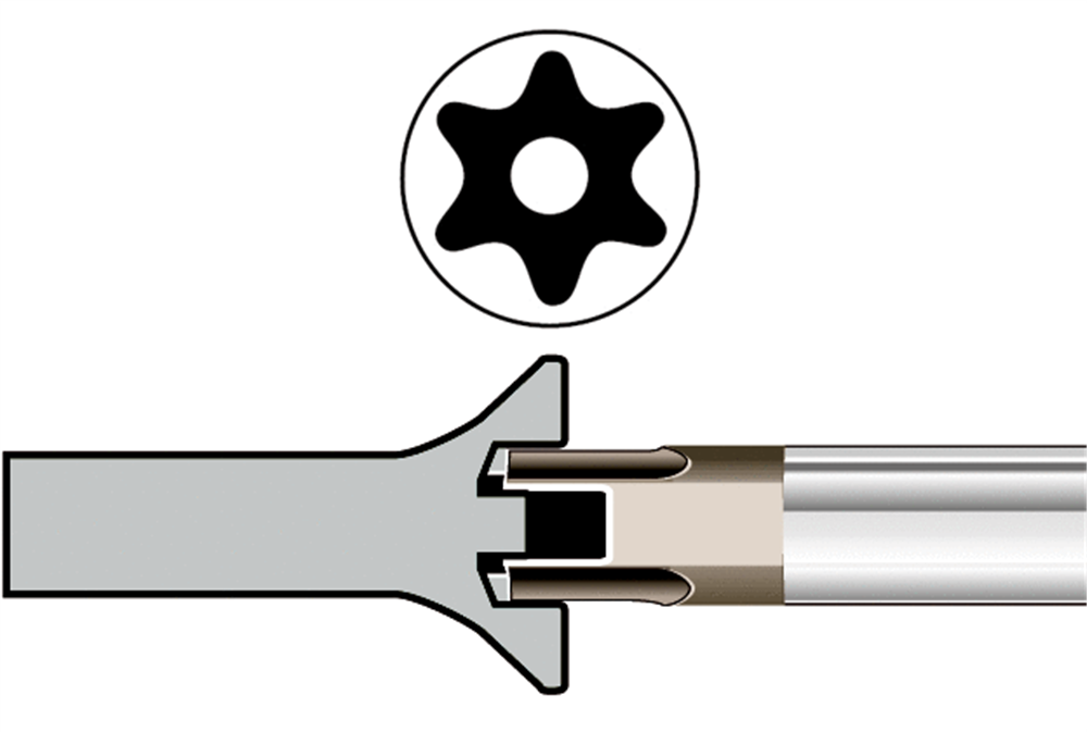 Bahco Torx®  Sert Dayanıklı Tornavida B141.020.100