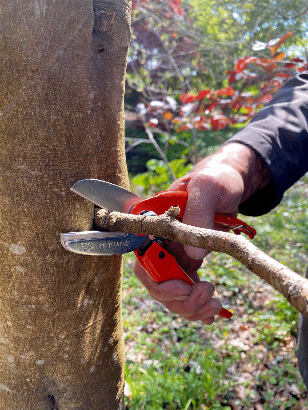 Bahco Örs Tipi Budama Makası P138-22-F