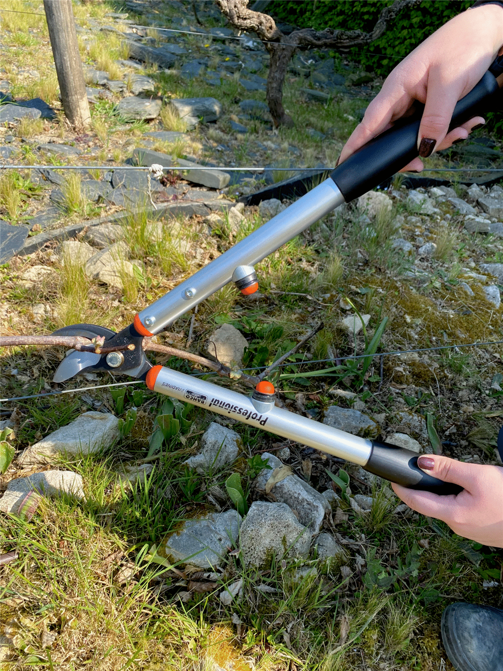 Bahco Çok Hafif Çift Kollu Makas P114-SL-50