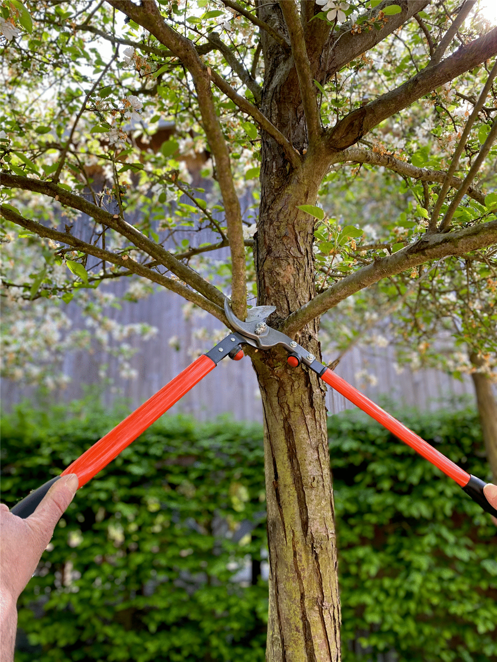 Bahco Çift Kollu Makas P16-50-F