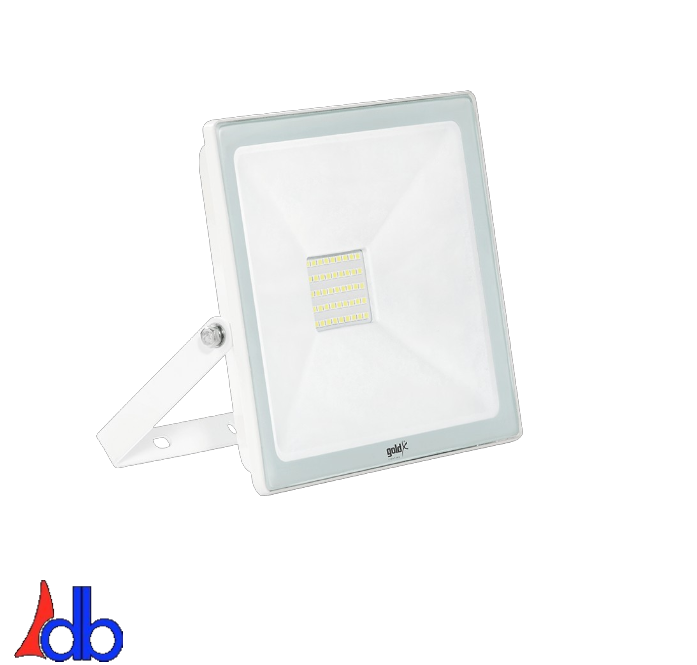 100W LEDLİ PROJEKTÖR G.IŞIĞI